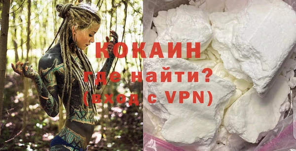 ПСИЛОЦИБИНОВЫЕ ГРИБЫ Горняк