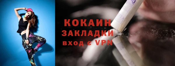 ПСИЛОЦИБИНОВЫЕ ГРИБЫ Горняк
