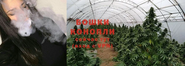 ПСИЛОЦИБИНОВЫЕ ГРИБЫ Верея