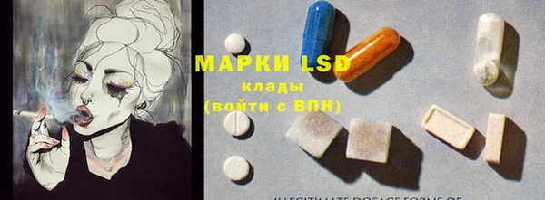 ПСИЛОЦИБИНОВЫЕ ГРИБЫ Горняк