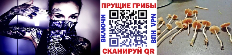 Галлюциногенные грибы мицелий  Завитинск 
